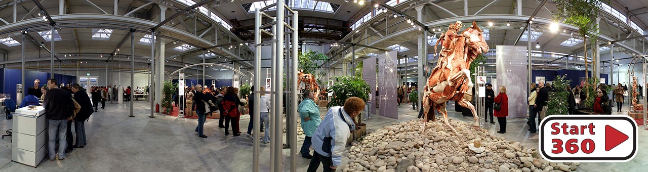 Körperwelten Frankfurt 2004