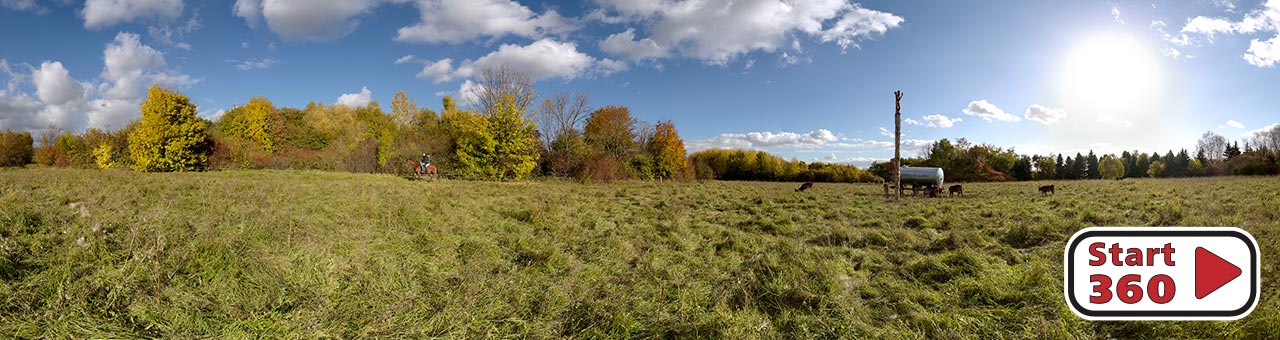 Arboretum